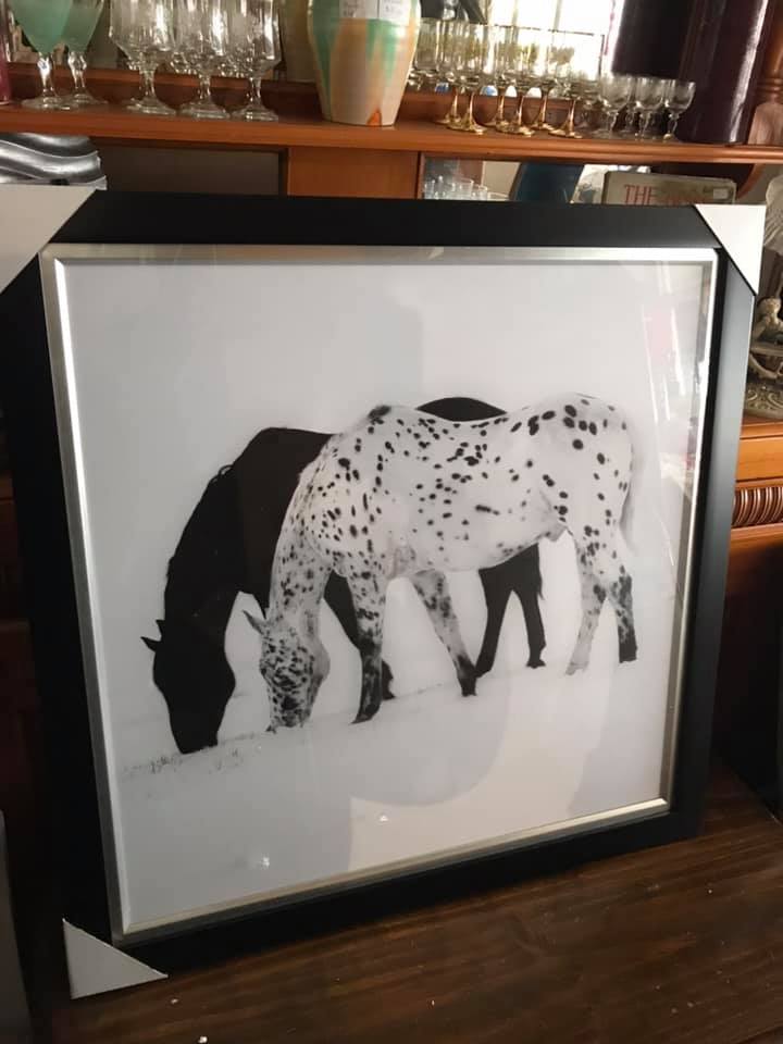 Framed Horse Picture